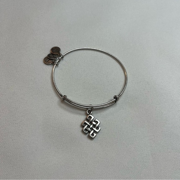 Alex And Ani Endless Knot Charm Antique Silver Finish Bangle Bracelet One Size - Picture 2 of 16